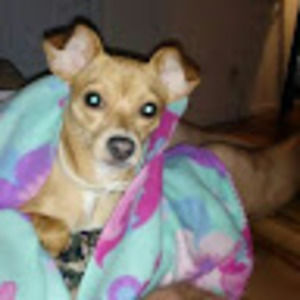 Meet your Posher, Judith